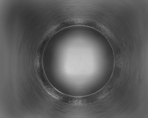 X0000084000740200702232137