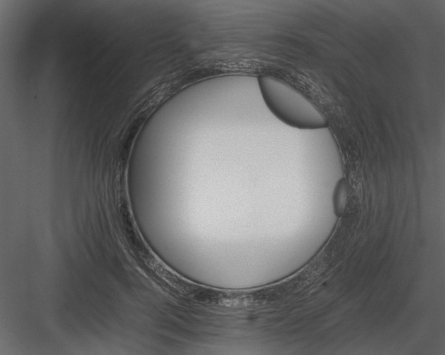 X0000084000744200702232137