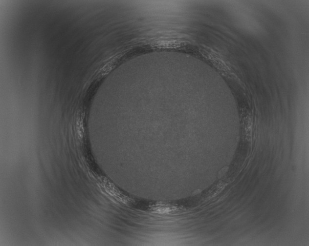 X0000084000746200702232137