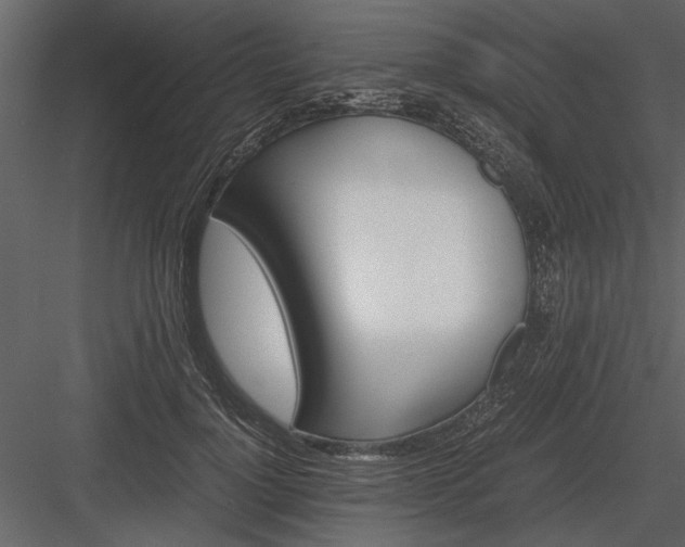 X0000084000748200702232137