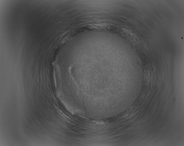 X0000084000749200702232137