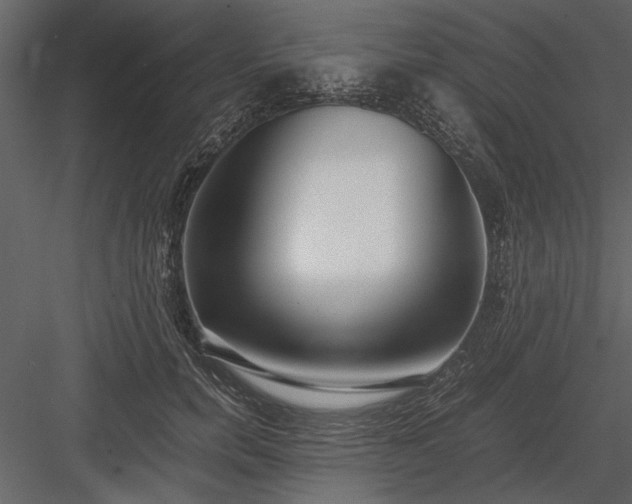 X0000084000750200702232137