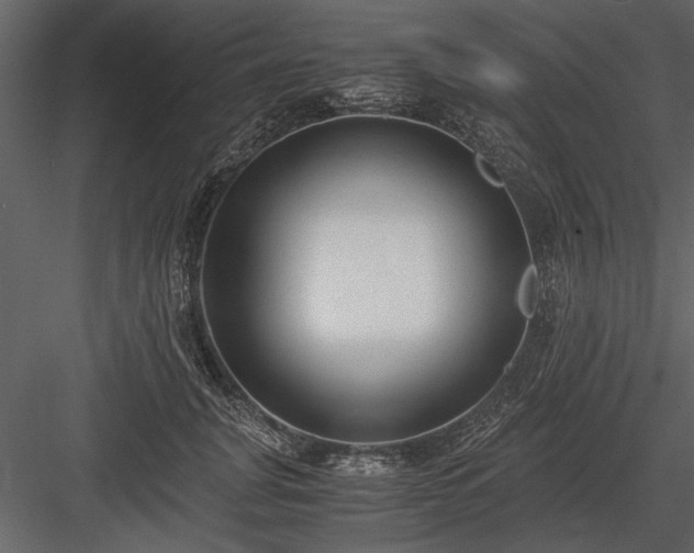 X0000084000751200702232137