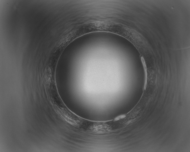 X0000084000752200702232137