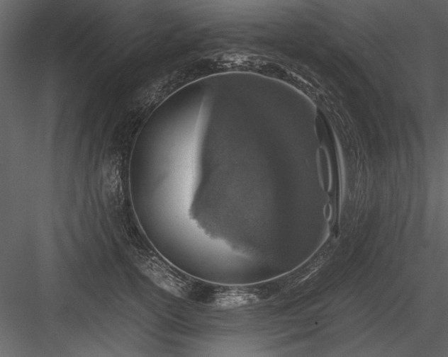 X0000084000754200702232137