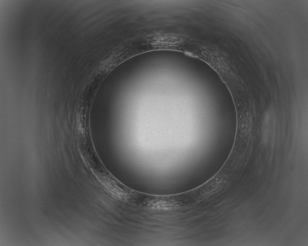 X0000084000755200702232137