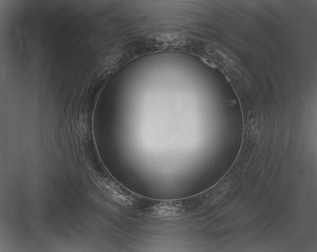 X0000084000756200702232137