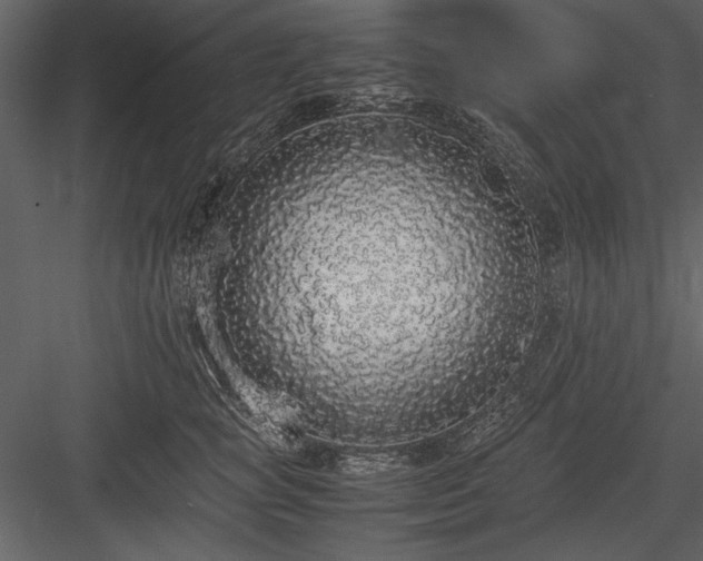 X0000084000757200702232137