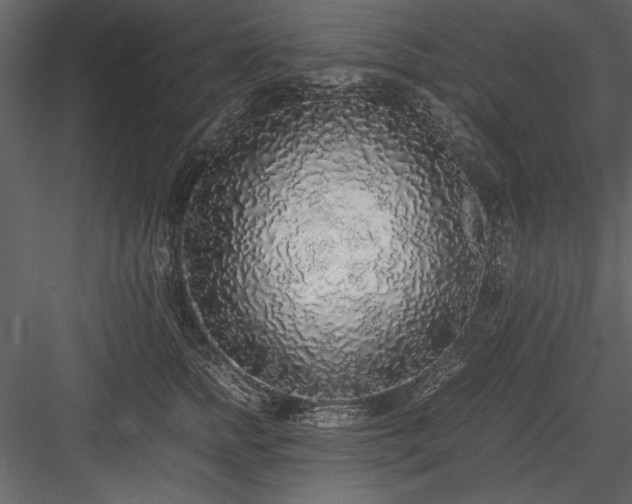 X0000084000758200702232137