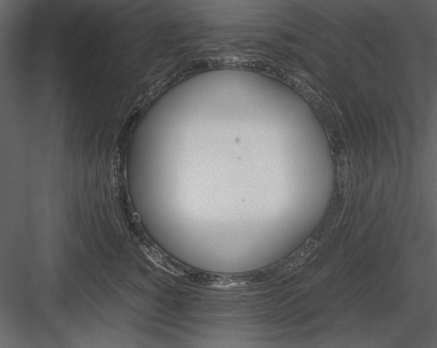 X0000084000760200702232137