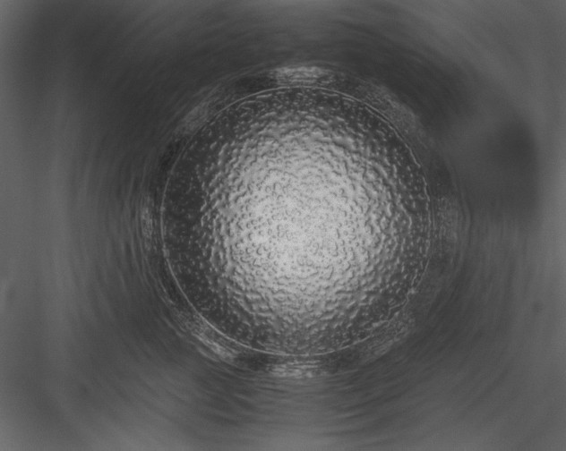 X0000084000761200702232137