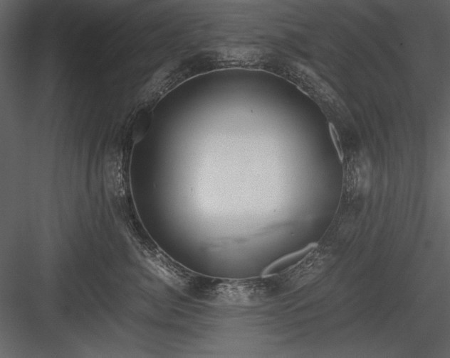X0000084000764200702232137