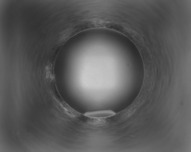 X0000084000768200702232137