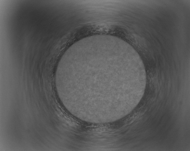 X0000084000769200702232137
