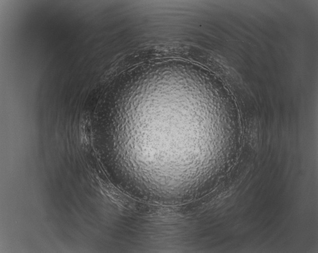 X0000084000770200702232137