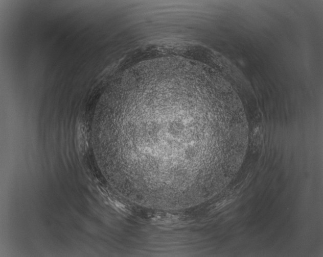 X0000084000772200702232137