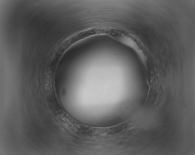 X0000084000773200702232137