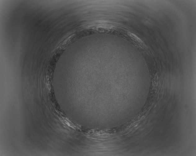 X0000084000774200702232137