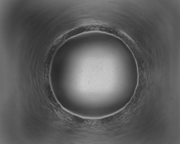X0000084000775200702232136