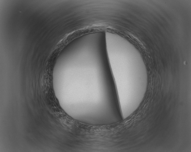 X0000084000776200702232136