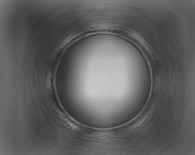 X0000084000778200702232136