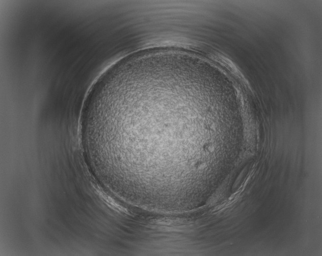 X0000084000780200702232136