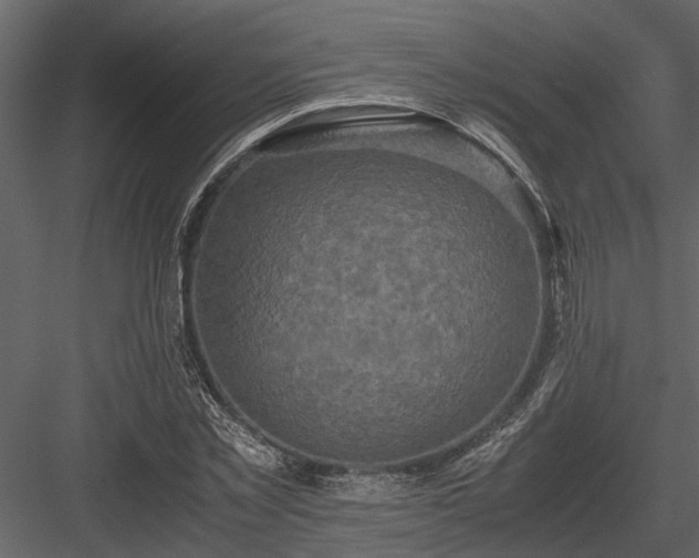 X0000084000781200702232136