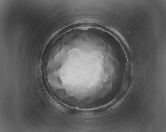 X0000084000783200702232136