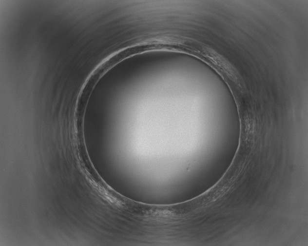 X0000084000784200702232136