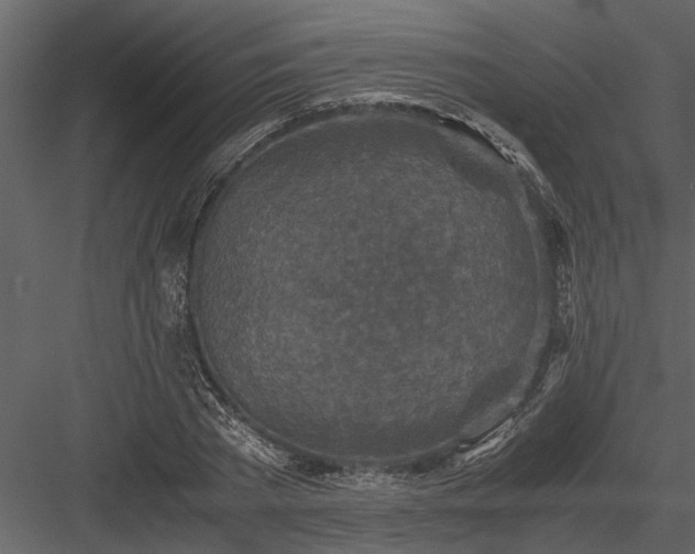 X0000084000785200702232136