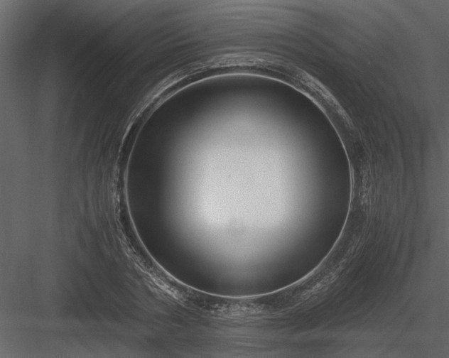 X0000084000786200702232136