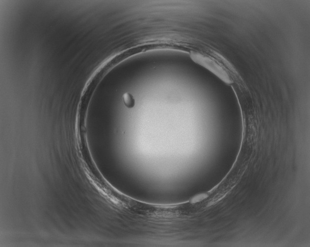 X0000084000788200702232136