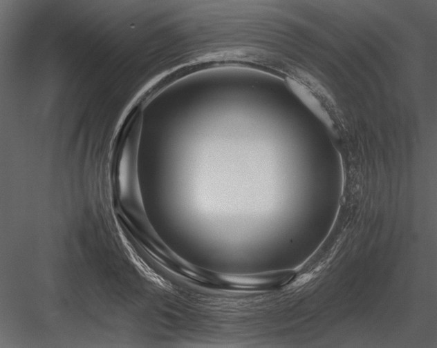 X0000084000792200702232136