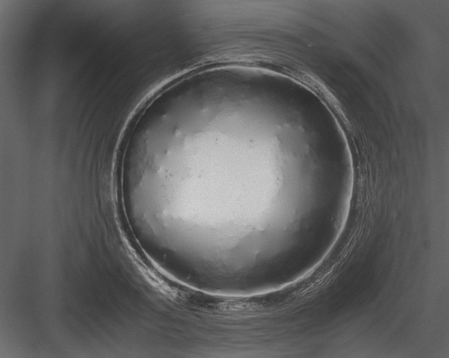 X0000084000795200702232136