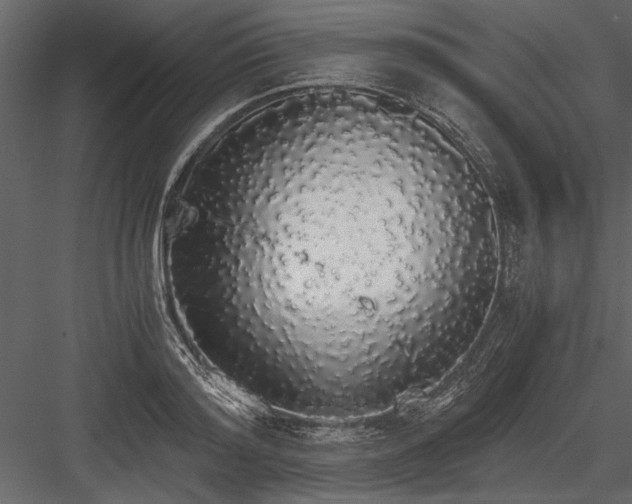 X0000084000796200702232136