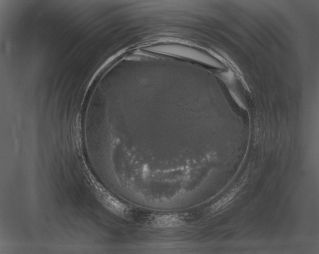 X0000084000798200702232136