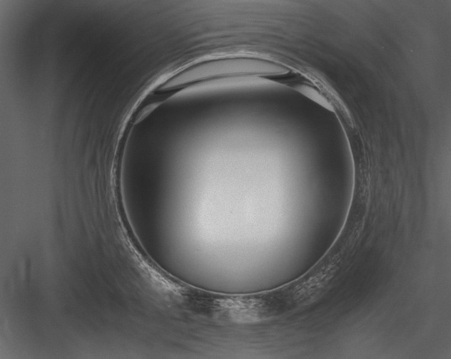 X0000084000805200702232136