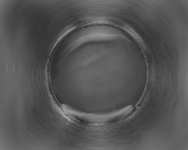 X0000084000806200702232136