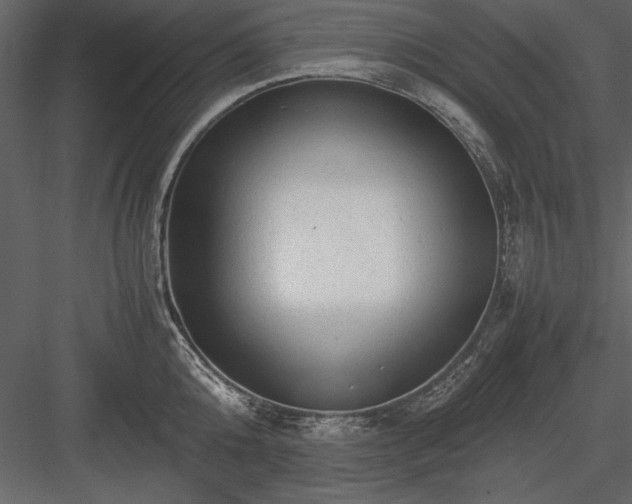 X0000084000808200702232136