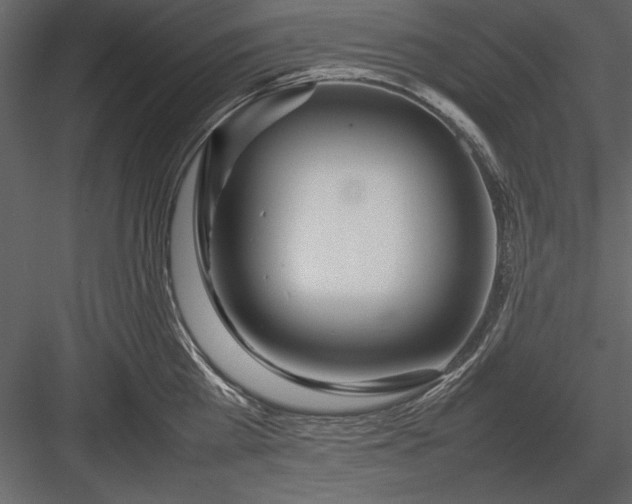 X0000084000809200702232136