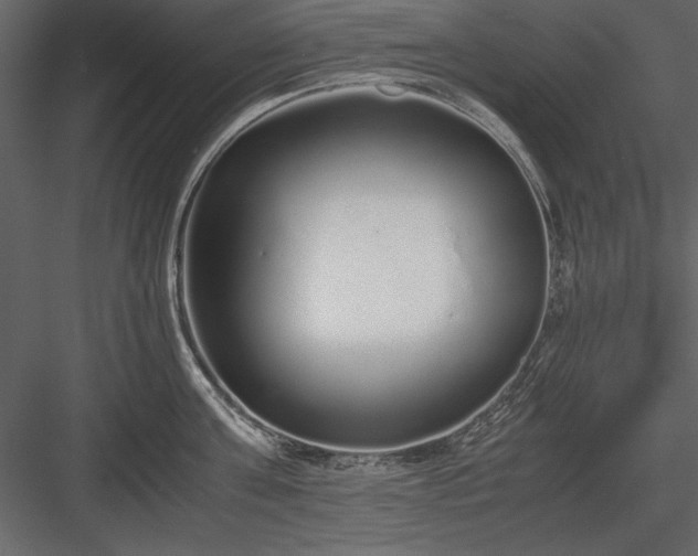 X0000084000811200702232136
