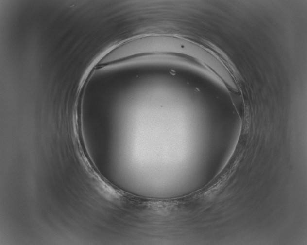 X0000084000812200702232136
