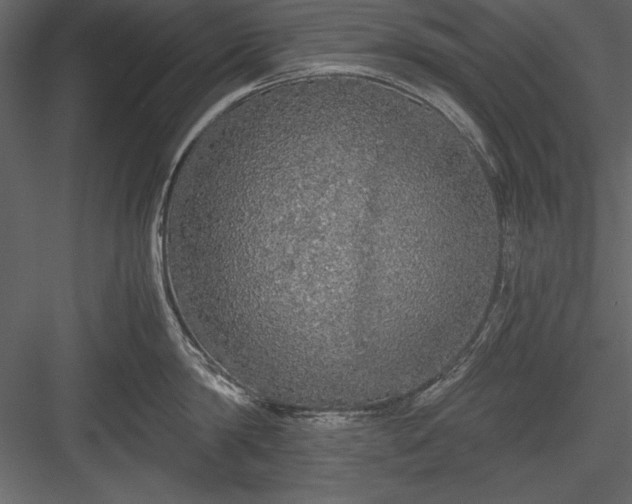 X0000084000814200702232136