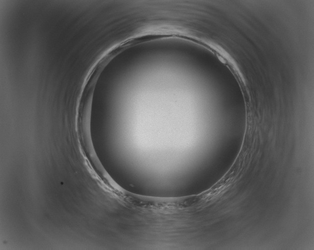 X0000084000815200702232136