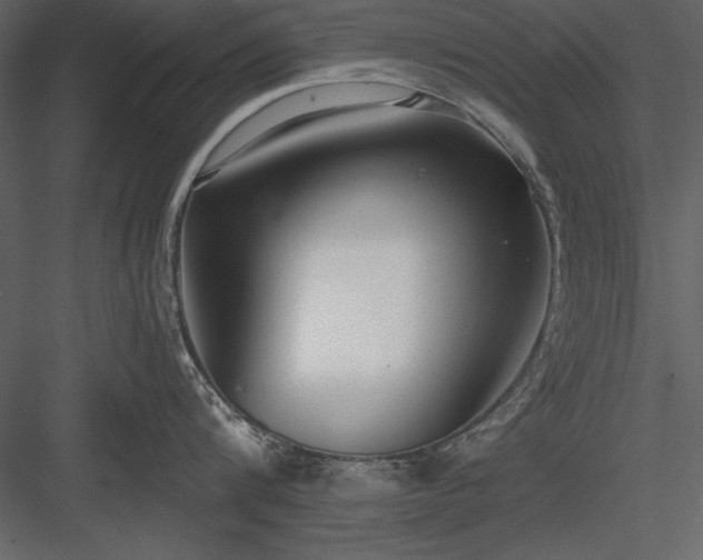 X0000084000816200702232136