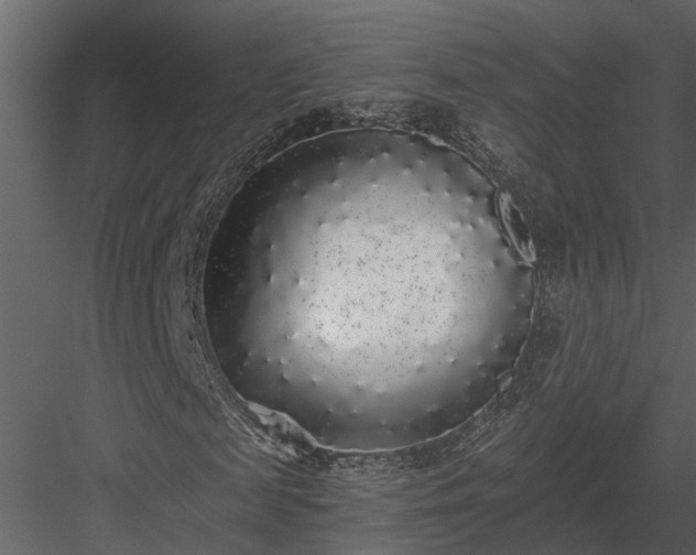X0000084000817200702232135