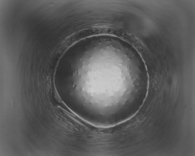 X0000084000821200702232135