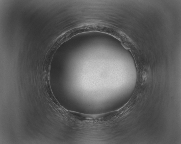 X0000084000822200702232135