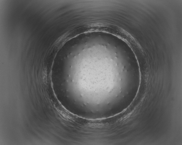 X0000084000825200702232135