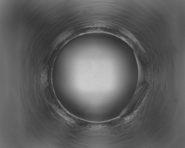 X0000084000826200702232135